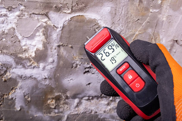 Best Bathroom Mold Remediation in Stanton, NE